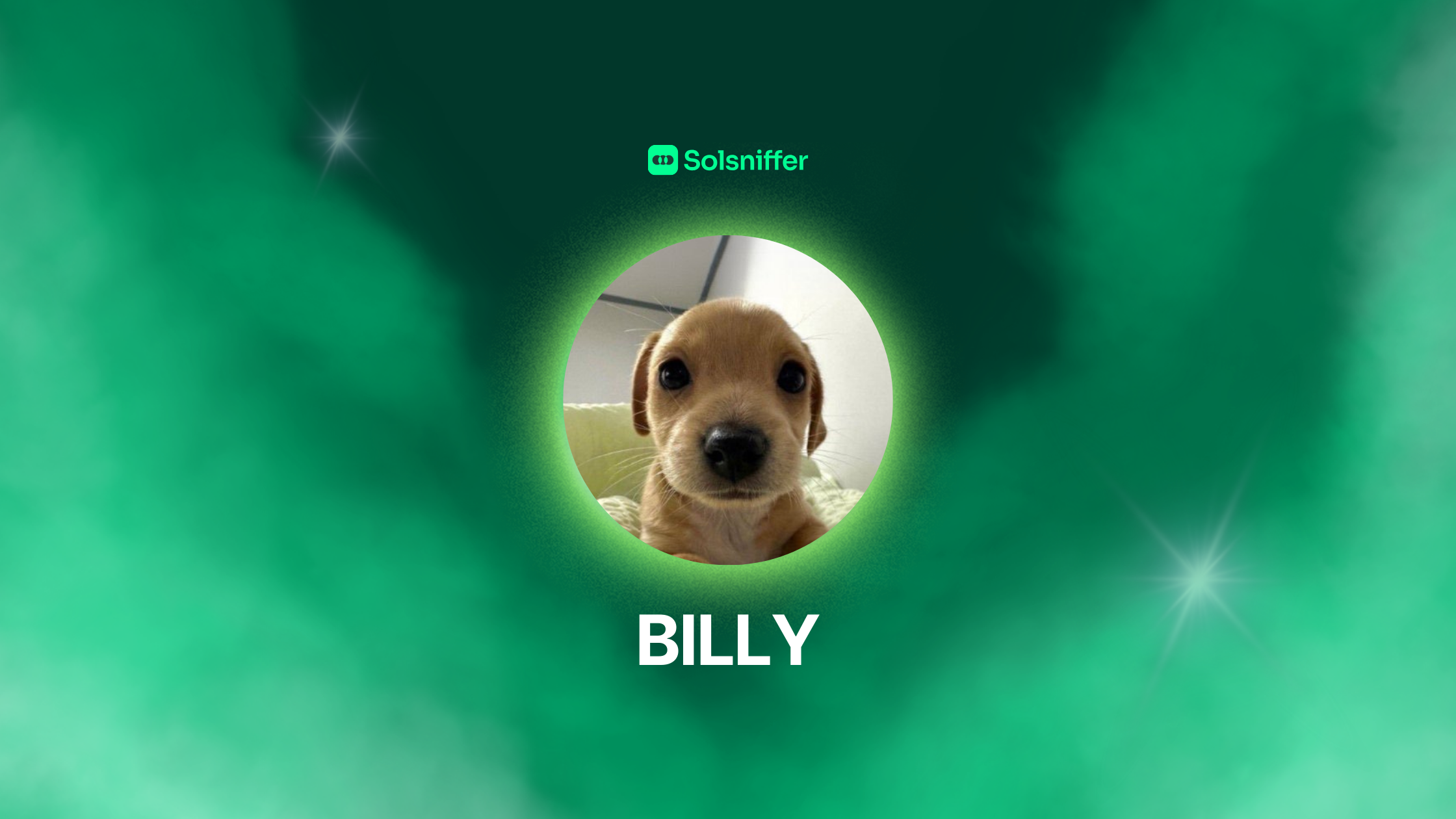 BILLY CRYPTO PROJECT