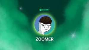 ZOOMER CRYPTO PROJECT